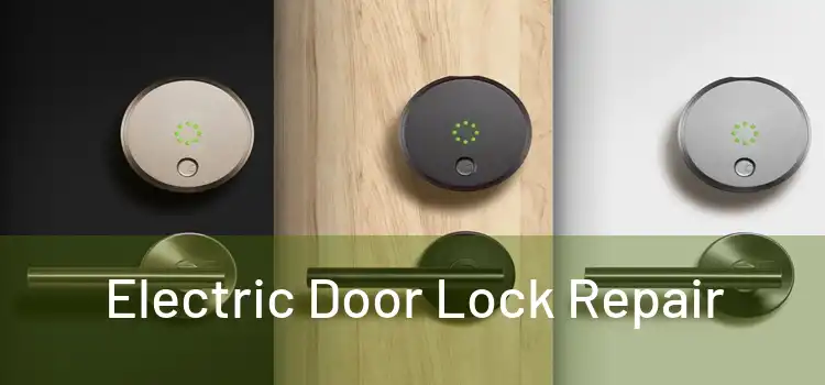Electric Door Lock Repair